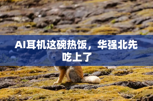 AI耳机这碗热饭，华强北先吃上了