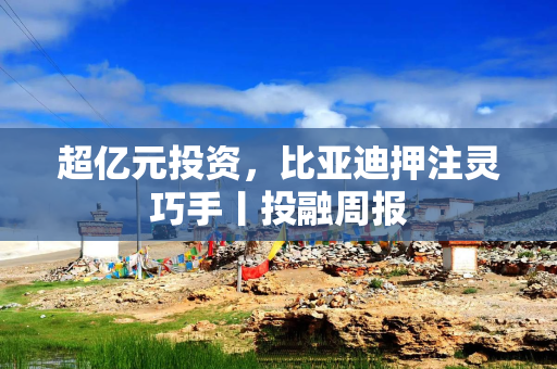 超亿元投资，比亚迪押注灵巧手丨投融周报