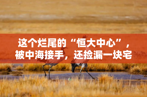 这个烂尾的“恒大中心”，被中海接手，还捡漏一块宅地