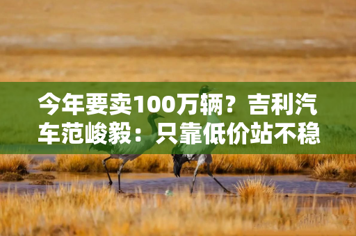今年要卖100万辆？吉利汽车范峻毅：只靠低价站不稳，坚持油电分网策略