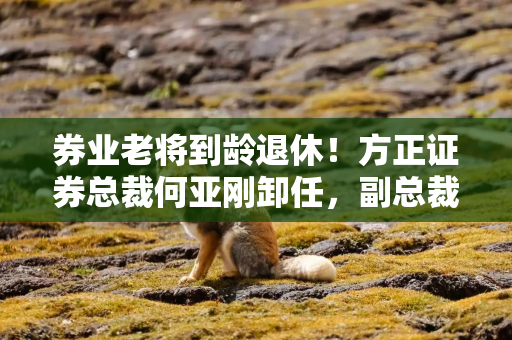 券业老将到龄退休！方正证券总裁何亚刚卸任，副总裁姜志军接棒