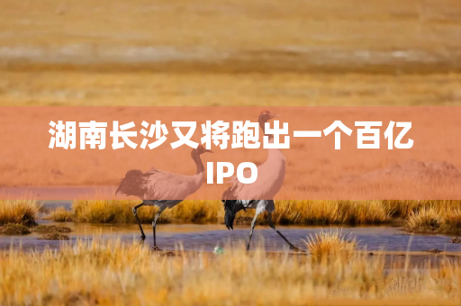 湖南长沙又将跑出一个百亿IPO
