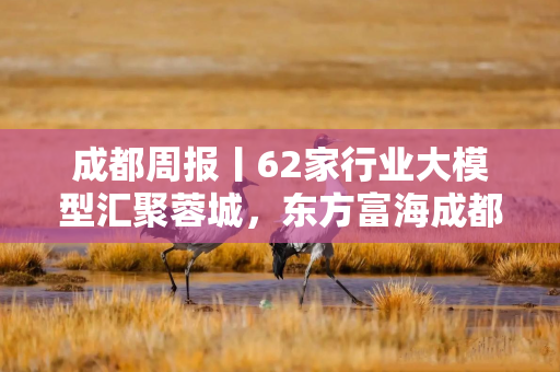成都周报丨62家行业大模型汇聚蓉城，东方富海成都基金出手