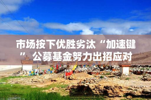 市场按下优胜劣汰“加速键” 公募基金努力出招应对