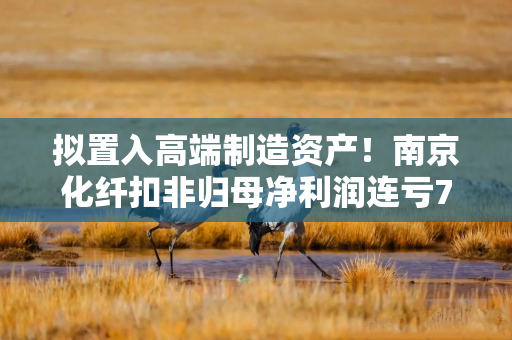 拟置入高端制造资产！南京化纤扣非归母净利润连亏7年，计划购入南京工艺100%股份