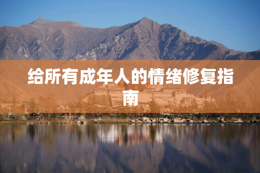 给所有成年人的情绪修复指南
