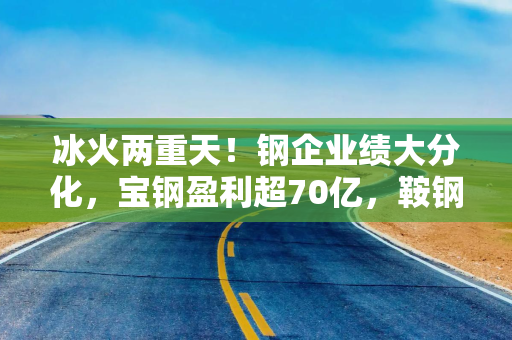 冰火两重天！钢企业绩大分化，宝钢盈利超70亿，鞍钢亏损超70亿