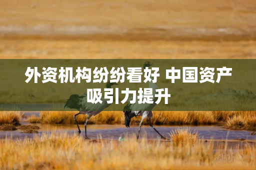 外资机构纷纷看好 中国资产吸引力提升