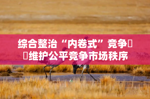 综合整治“内卷式”竞争  维护公平竞争市场秩序