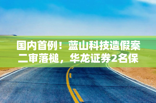国内首例！蓝山科技造假案二审落槌，华龙证券2名保代承担连带赔偿责任