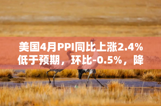 美国4月PPI同比上涨2.4%低于预期，环比-0.5%，降幅创下五年来最大!