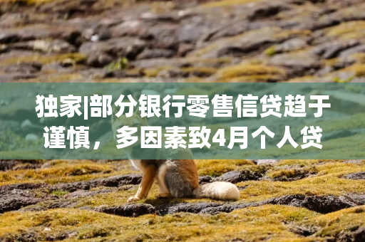 独家|部分银行零售信贷趋于谨慎，多因素致4月个人贷款大幅少增