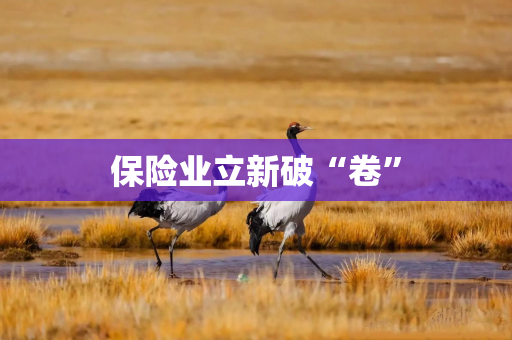 保险业立新破“卷”