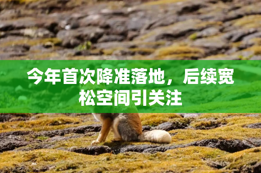 今年首次降准落地，后续宽松空间引关注