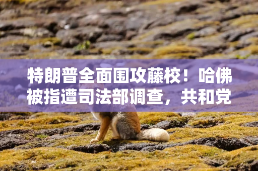 特朗普全面围攻藤校！哈佛被指遭司法部调查，共和党提案变相增税、打击招收国际生
