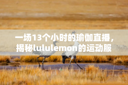 一场13个小时的瑜伽直播，揭秘lululemon的运动服饰革命