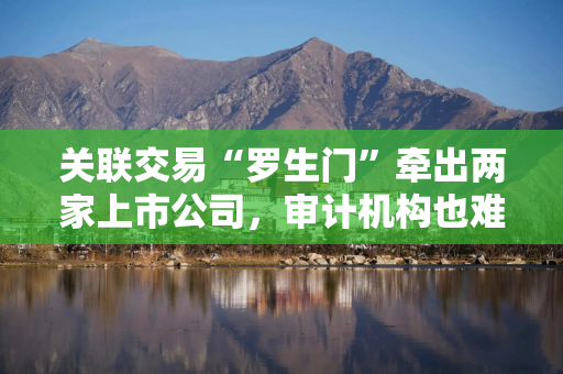 关联交易“罗生门”牵出两家上市公司，审计机构也难厘清，洪田股份最新回应：正加紧核查