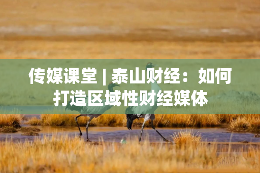 传媒课堂 | 泰山财经：如何打造区域性财经媒体