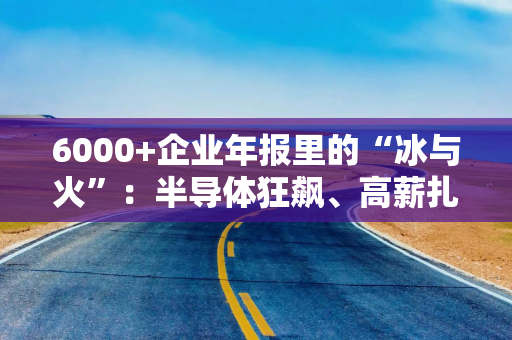 6000+企业年报里的“冰与火”：半导体狂飙、高薪扎堆、出海卷出“中国新牌面”