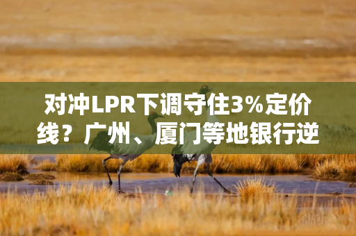 对冲LPR下调守住3%定价线？广州、厦门等地银行逆势上调首套房利率，背后也有防风险考量