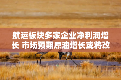 航运板块多家企业净利润增长 市场预期原油增长或将改善油运运价