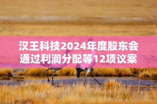 汉王科技2024年度股东会通过利润分配等12项议案 中小股东高比例支持