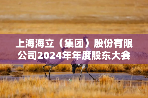 上海海立（集团）股份有限公司2024年年度股东大会通过12项议案，关联交易及中小投资者单独计票议案获通过