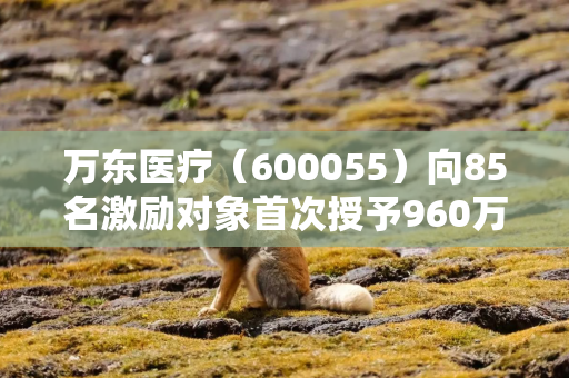 万东医疗（600055）向85名激励对象首次授予960万份股票期权，行权价15.05元/份