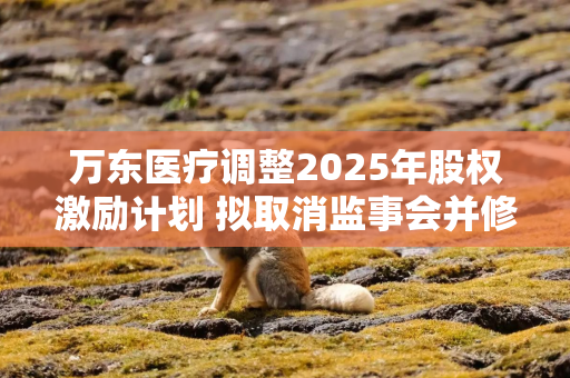 万东医疗调整2025年股权激励计划 拟取消监事会并修订公司章程
