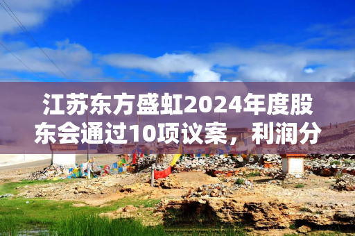 江苏东方盛虹2024年度股东会通过10项议案，利润分配及套期保值等计划获高票支持