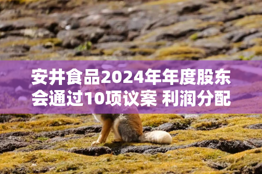 安井食品2024年年度股东会通过10项议案 利润分配方案获高票通过