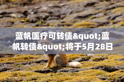 蓝帆医疗可转债"蓝帆转债"将于5月28日付息 每10张派18元