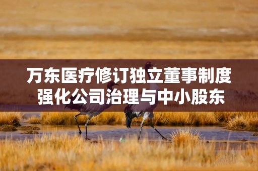 万东医疗修订独立董事制度 强化公司治理与中小股东权益保护