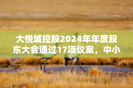 大悦城控股2024年年度股东大会通过17项议案，中小股东参与度高