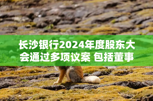 长沙银行2024年度股东大会通过多项议案 包括董事会换届及利润分配预案