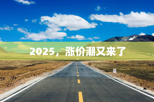 2025，涨价潮又来了
