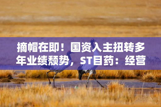 摘帽在即！国资入主扭转多年业绩颓势，ST目药：经营状况不会发生重大变化