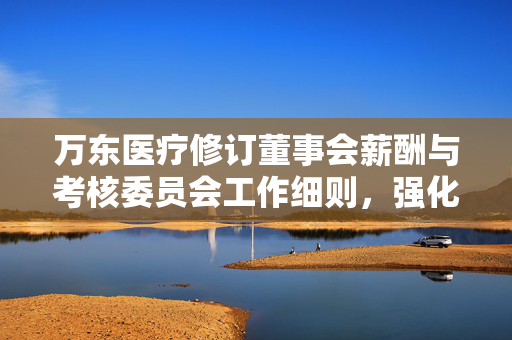 万东医疗修订董事会薪酬与考核委员会工作细则，强化高管激励与监督机制