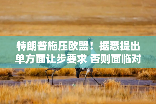 特朗普施压欧盟！据悉提出单方面让步要求 否则面临对等关税