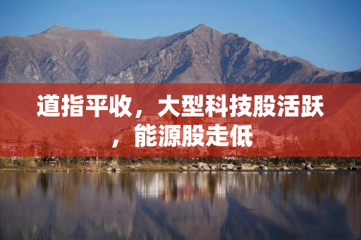 道指平收，大型科技股活跃，能源股走低