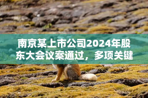 南京某上市公司2024年股东大会议案通过，多项关键数据披露