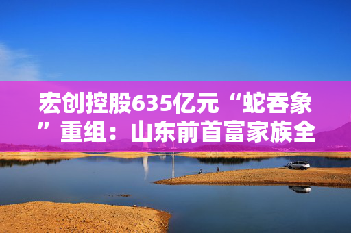 宏创控股635亿元“蛇吞象”重组：山东前首富家族全力运作，股价却差点跌停