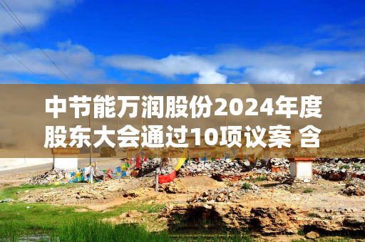 中节能万润股份2024年度股东大会通过10项议案 含利润分配及回购计划