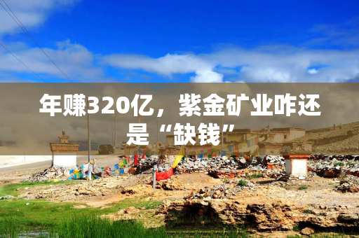 年赚320亿，紫金矿业咋还是“缺钱”