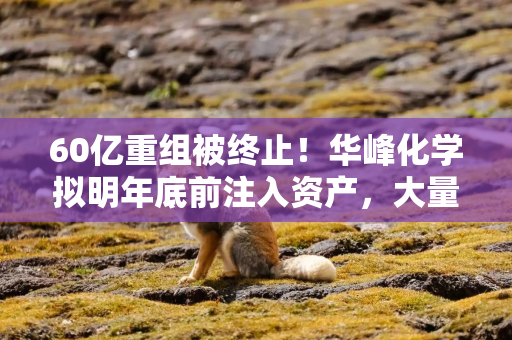 60亿重组被终止！华峰化学拟明年底前注入资产，大量弃权票或仍是障碍
