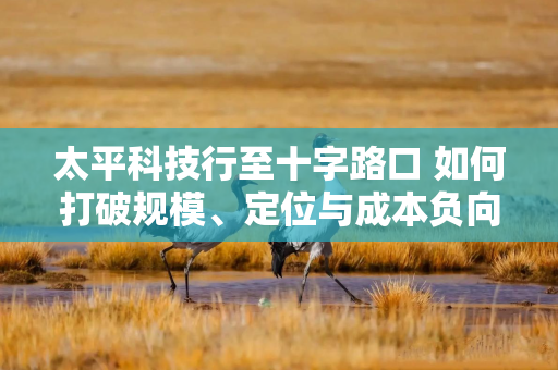 太平科技行至十字路口 如何打破规模、定位与成本负向循环？