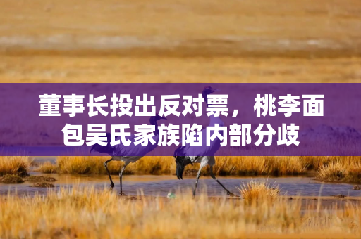 董事长投出反对票，桃李面包吴氏家族陷内部分歧