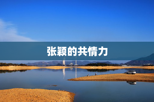张颖的共情力