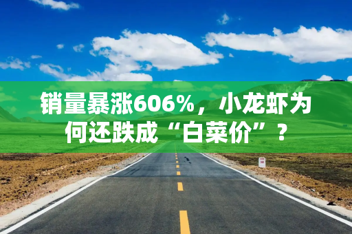 销量暴涨606%，小龙虾为何还跌成“白菜价”？