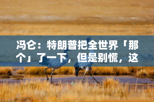 冯仑：特朗普把全世界「那个」了一下，但是别慌，这未必是坏事